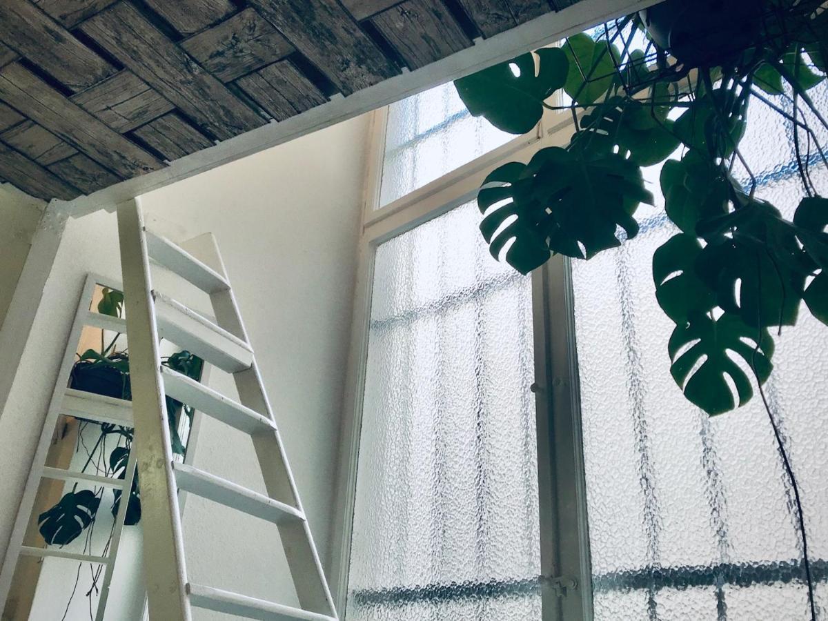 Boutique Hostel Lekkerurlaub ベルリン エクステリア 写真